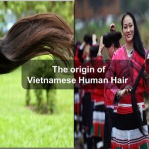 Vietnamese Human Hair: Should or Should not