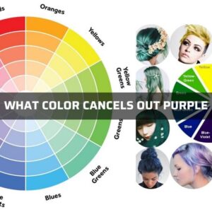 What color cancels out purple: 7 amazing facts about purple hair